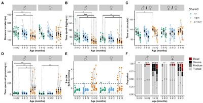 Excessive self-grooming, gene dysregulation and imbalance between the striosome and matrix compartments in the striatum of Shank3 mutant mice